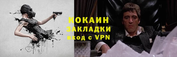 трава Тайга