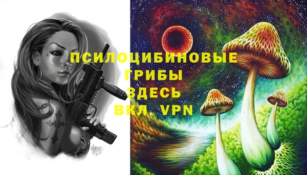 не бодяженный Верея
