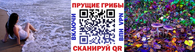 Псилоцибиновые грибы мицелий Георгиевск